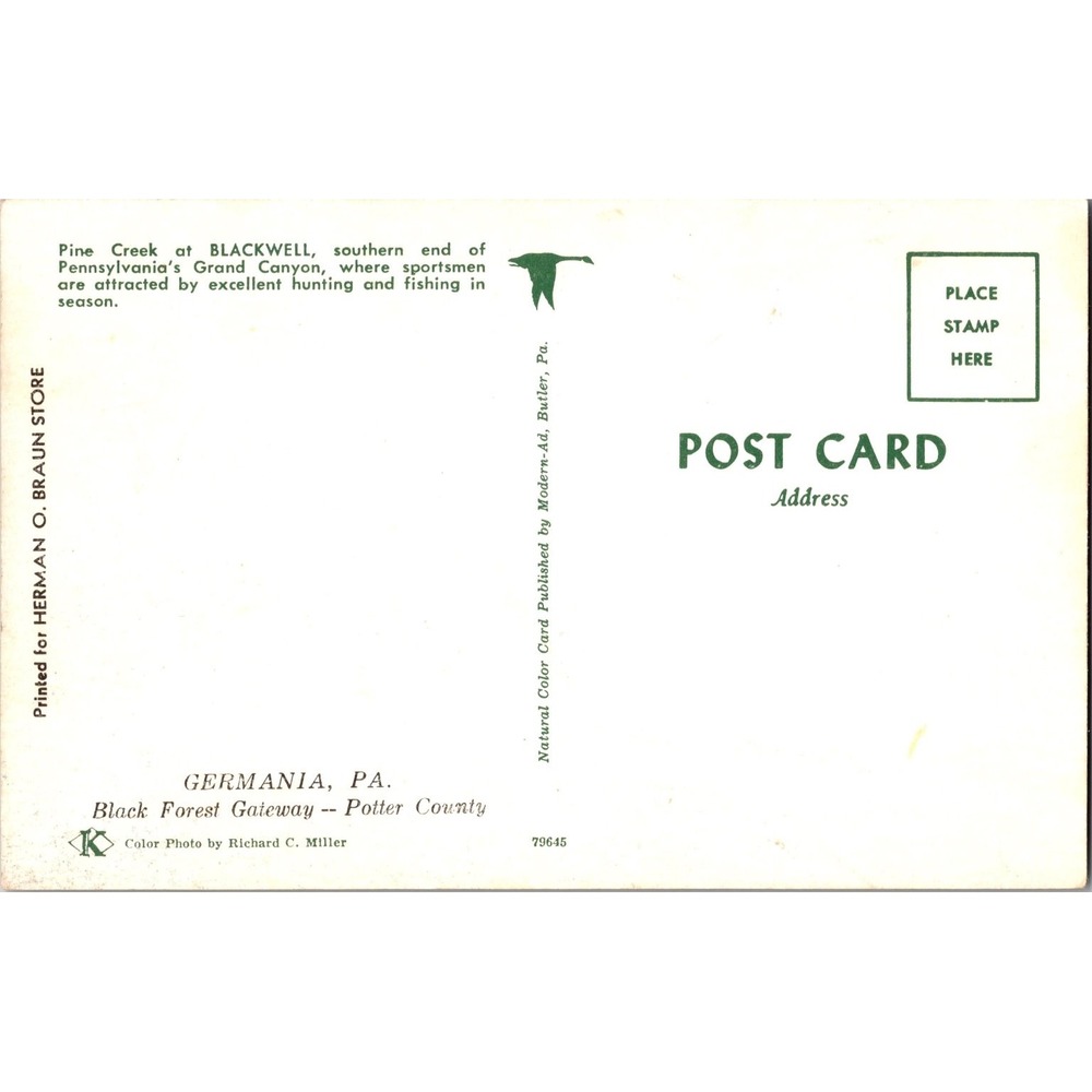 Vintage Germania PA Black Forest Gateway Scenic Postcard by Richard C. Miller - Picture 2 of 2